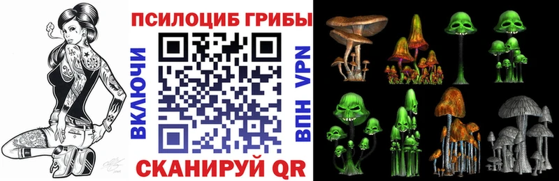Купить где  Иннополис  Псилоцибиновые грибы MAGIC MUSHROOMS 